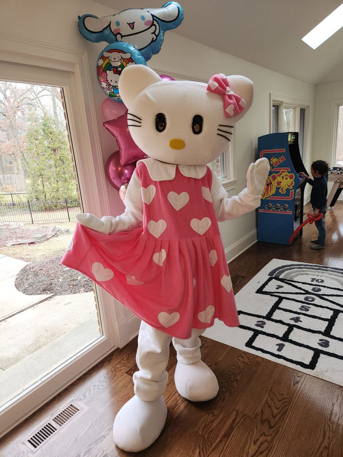 Hello Kitty mascot character for birthday parties in Fort Lauderdale